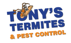 Termite Pest Control Gold Coast