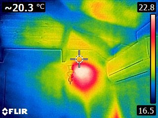 Termite nest located in a lounge cavity wall beside a light fitting