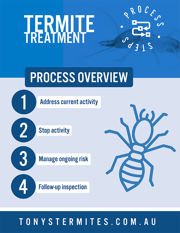 Termite Treatment Process Overview