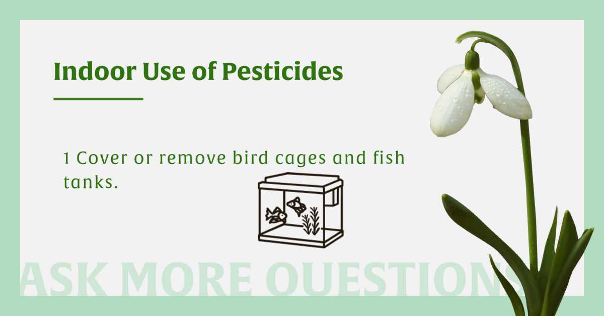 Indoor Use Of Pesticides