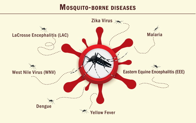 Mosquito-Borne Diseases