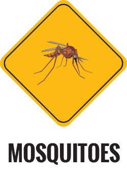 Mosquito Control Gold Coast
