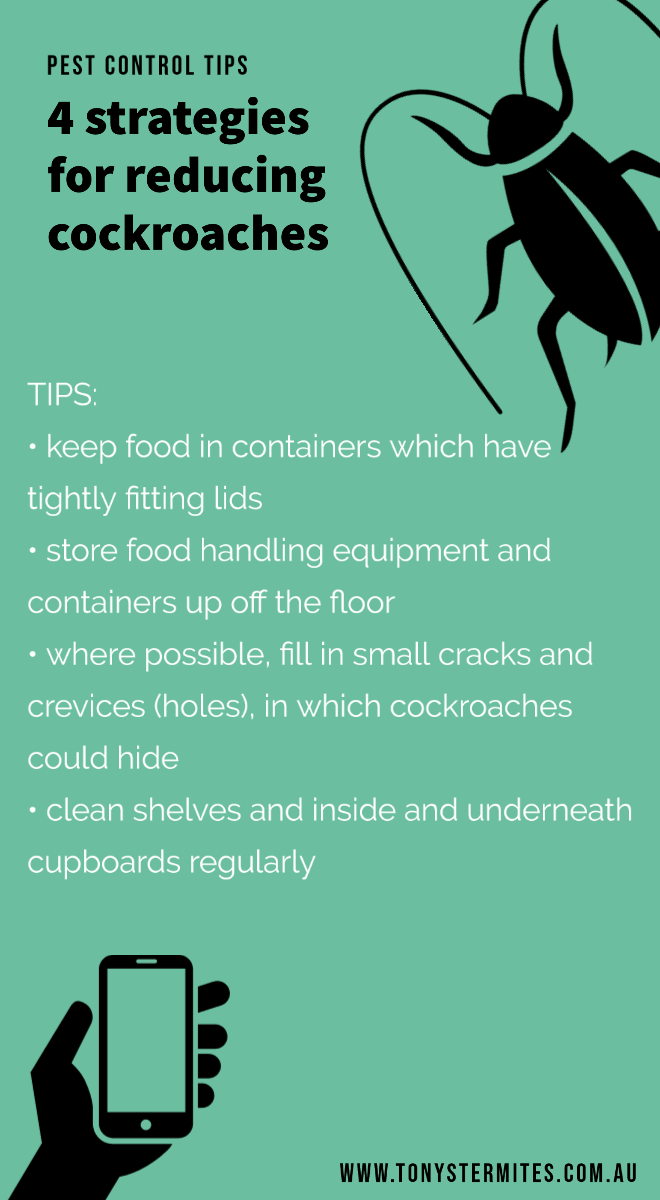 Pest Control Cockroach Tips