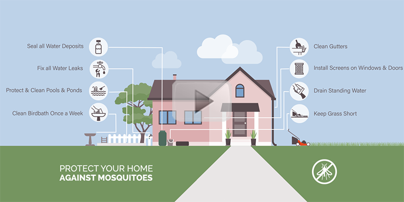 Protecting Your Home from Mosquitoes Video