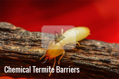 Chemical Termite Barriers Video